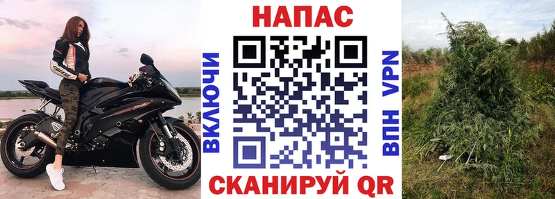 ОМГ ОМГ ссылки  Перевоз  Бошки Шишки планчик  где купить наркоту 